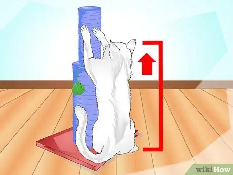 Image titled Get Your Cat to Use a Scratching Post Step 1