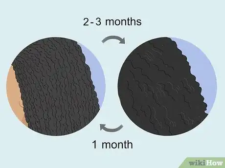 Image titled How Long Does It Take to Do Micro Braids Step 17