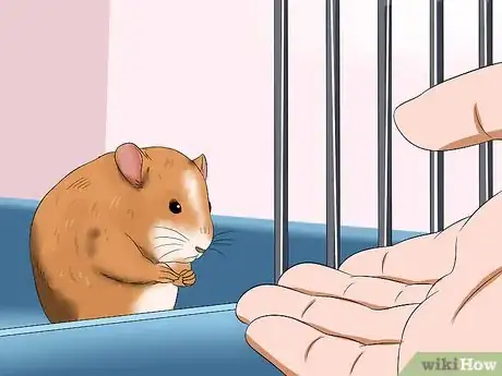 Image titled Make Your Hamster Trust You Step 8