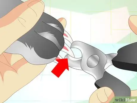 Image titled Trim Your Rabbit's Nails Step 6