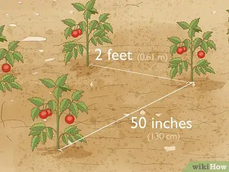 Image titled Prepare the Soil for Tomato Plants Step 14