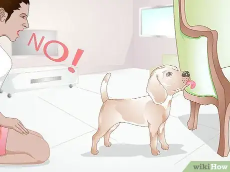 Image titled Stop a Dog from Licking Everything Step 3