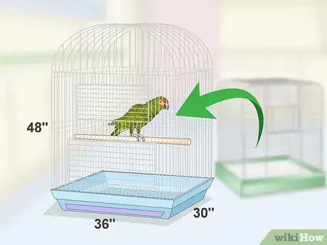 Image titled Deal with an Aggressive Amazon Parrot Step 3