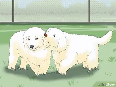 Image titled Get Your Puppy to Stop Biting Step 10