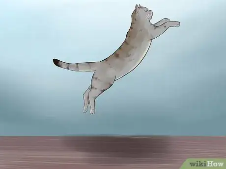 Image titled Identify a Li Hua Cat Step 12