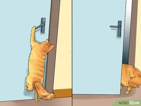 Image titled Identify a Somali Cat Step 6