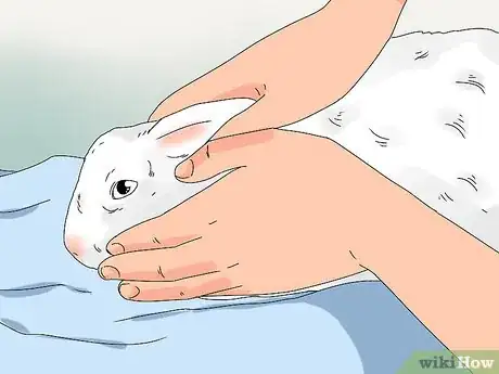 Image titled Tell if Your Rabbit Has Weepy Eye Step 2