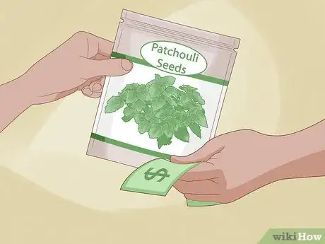 Image titled Grow Patchouli Step 1