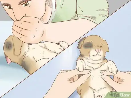 Image titled Revive a Puppy Step 18