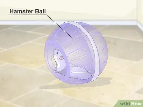Image titled Supervise Hamsters Outside of the Cage Step 8
