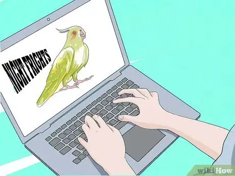 Image titled Take Care of a Cockatiel Step 17