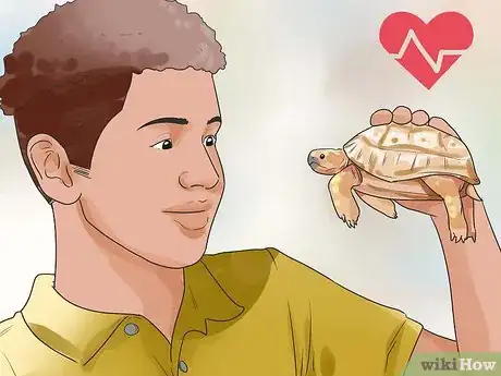Image titled Find a Turtle Step 3