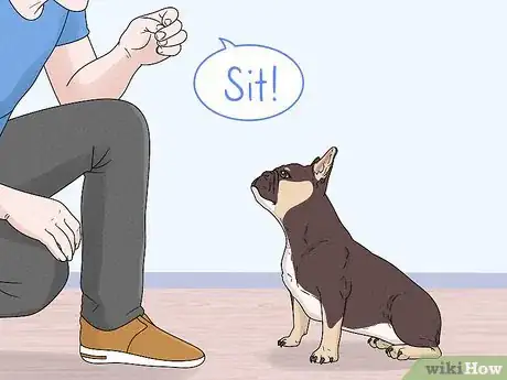 Image titled Identify a French Bulldog Step 11