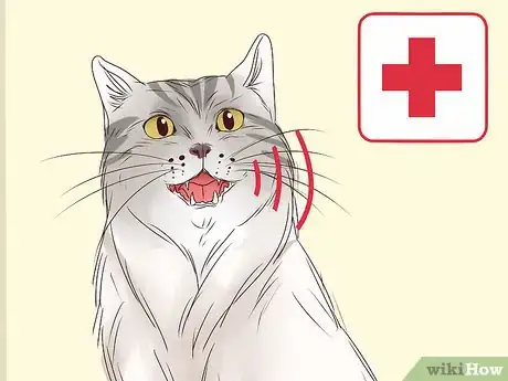 Image titled Get a Cat to Stop Meowing Step 18