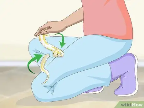 Image titled Build a Relationship with Your Snake Step 12