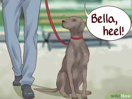 Image titled Teach Your Dog Basic Commands Step 20