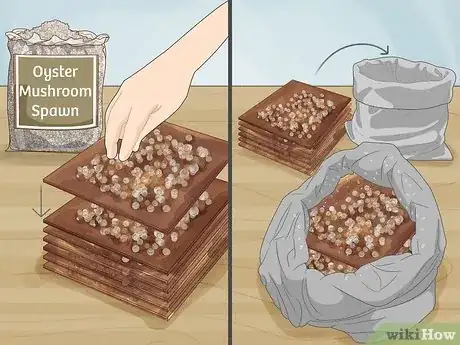 Image titled Grow Mushrooms Step 3