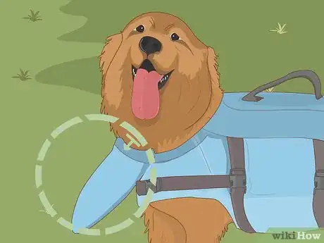 Image titled Choose the Right Life Jacket for Your Dog Step 6