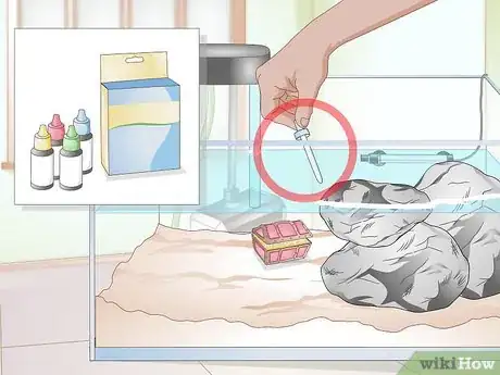 Image titled Clean a Turtle Tank Step 14