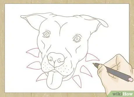 Image titled Draw a Pitbull Step 30