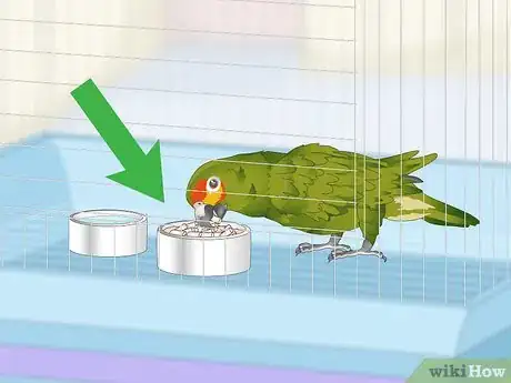 Image titled Deal with an Aggressive Amazon Parrot Step 1