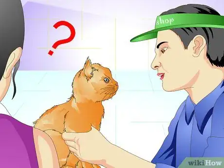 Image titled Tell if a Cat Is Spayed Step 6