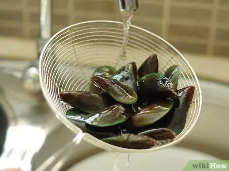 Image titled Buy and Clean Mussels Step 7