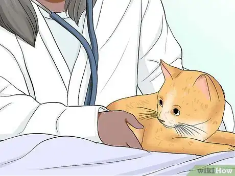 Image titled Know if a Cat Is Stressed Step 13