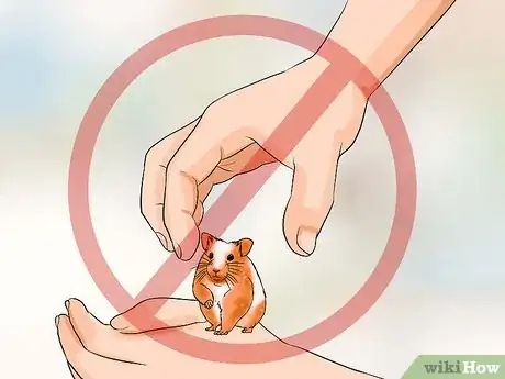 Image titled Pick up Your Hamster Step 1