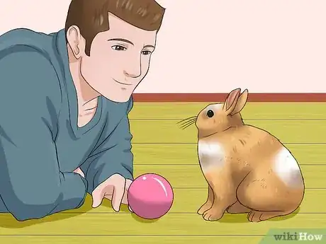 Image titled Make Sure Your Rabbit Has the Best Life You Can Give It Step 10