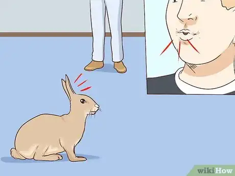 Image titled Pet a Rabbit Step 1