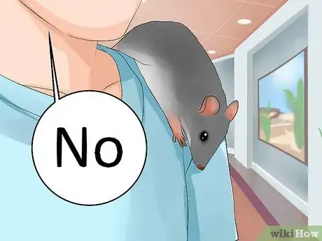 Image titled Shoulder Train a Pet Rat Step 8