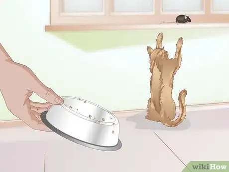 Image titled Get Your Cat to Stop Knocking Things Over Step 11