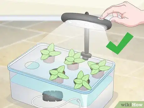 Image titled Start a Hydroponic Garden in Your Apartment Step 14