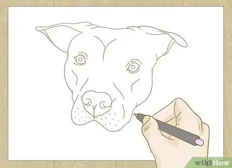 Image titled Draw a Pitbull Step 23
