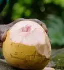 Open a Coconut