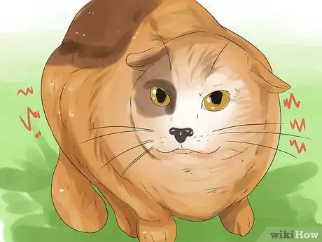 Image titled Get Your Cat to Stop Hissing Step 2