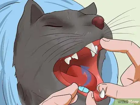 Image titled Give a Cat a Pill Step 16