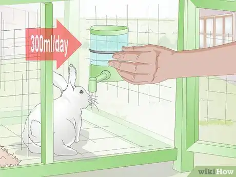 Image titled Choose a Water Dish for Your Rabbit Step 8