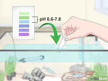 Image titled Take Care of Your Fish Step 15