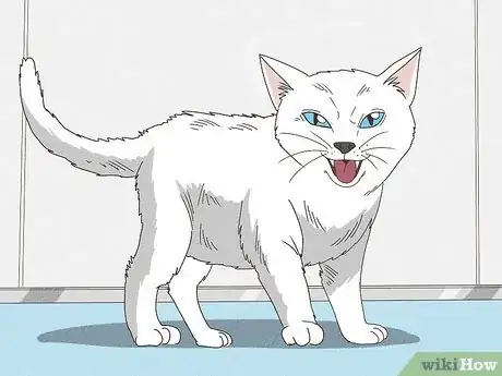 Image titled Calm an Aggressive Cat Step 11