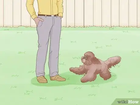 Image titled Stop a Dog from Humping Step 6