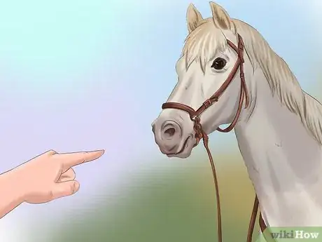Image titled Get Your Horse to Trust and Respect You Step 18