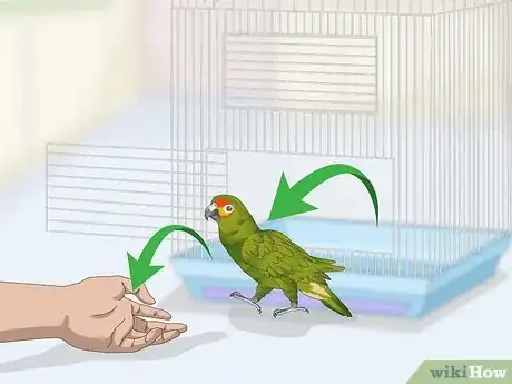 Image titled Deal with an Aggressive Amazon Parrot Step 6