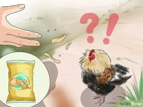 Image titled Protect Yourself from an Attacking Rooster Step 1