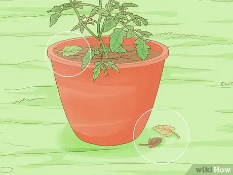 Image titled Determine How Much Water Plants Need Step 10