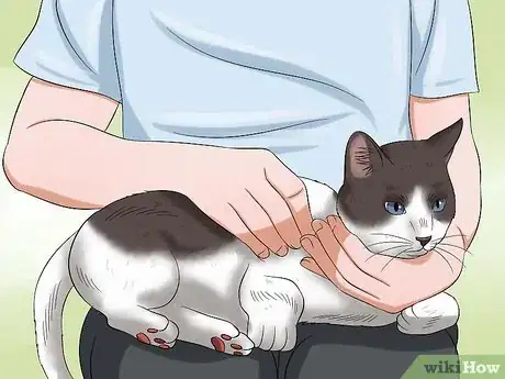 Image titled Give Your Cat Eye Drops Step 1