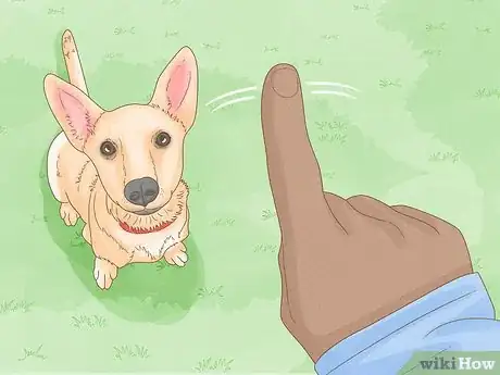 Image titled Stop a Dog from Humping Step 1