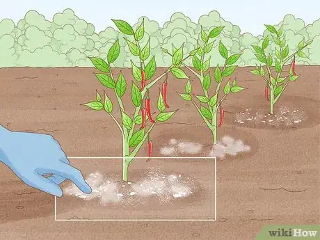 Image titled Protect Crops from Heavy Rain Step 13