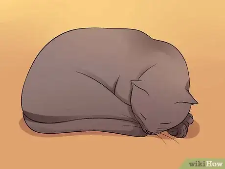 Image titled Help Your Depressed Cat Step 1